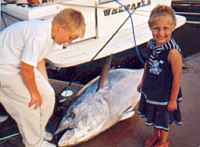 ein gro�er Fisch