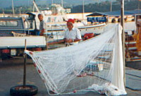 ins Netz gegangen