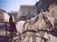 Fiaker in Salzburg