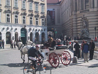 Fiaker in Wien